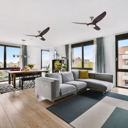 Ventilateur plafond économie chauffage : salon lumineux avec canapé gris et deux ventilateurs suspendus, grande baie vitrée.